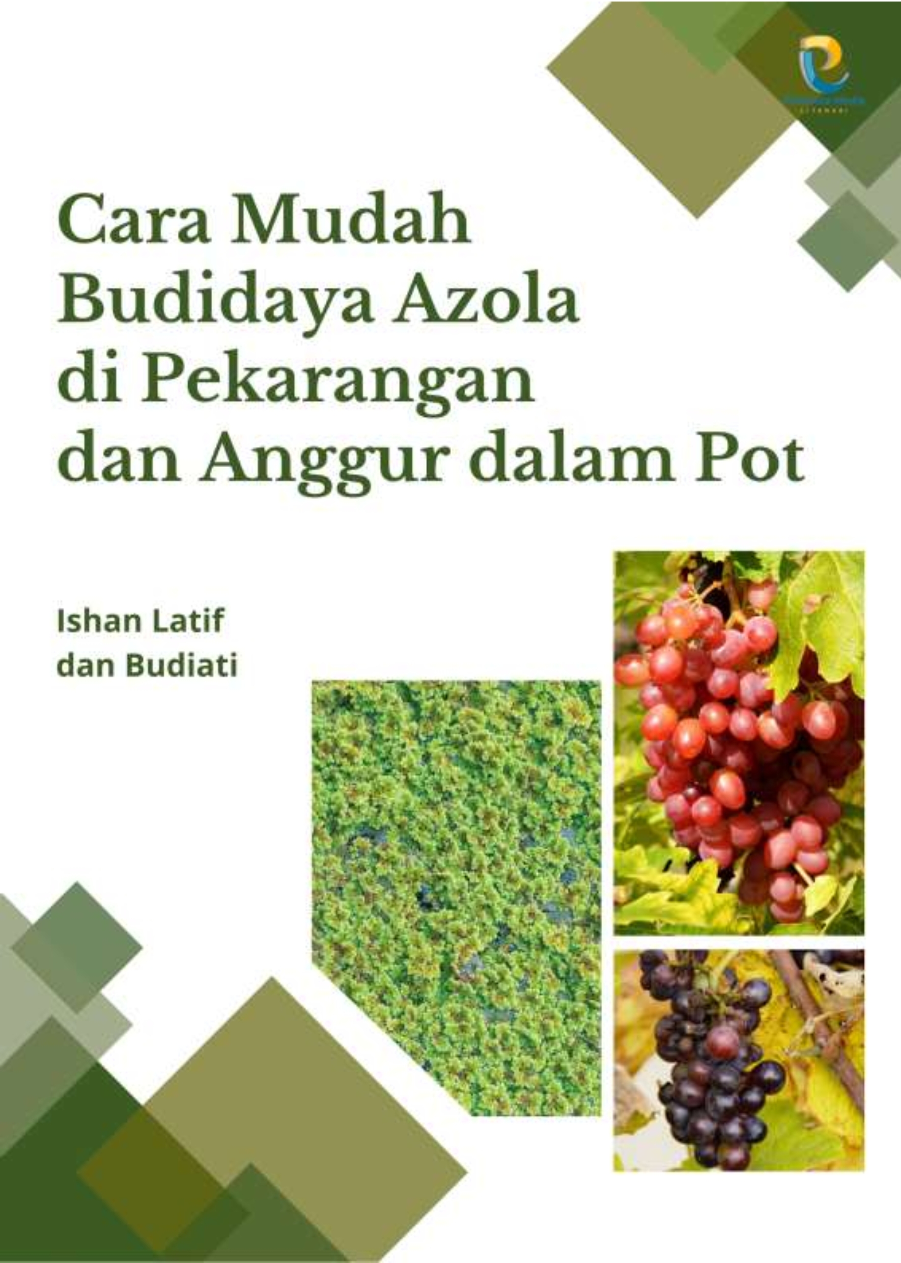 Cara Mudah Budidaya Azola di Pekarangan dan Anggur dalam Pot